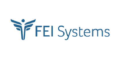 FEI Systems Logo